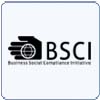 <b>BSCI基本介绍</b>